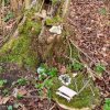 04 Aktion April 25 Feen und Wichtelwald
